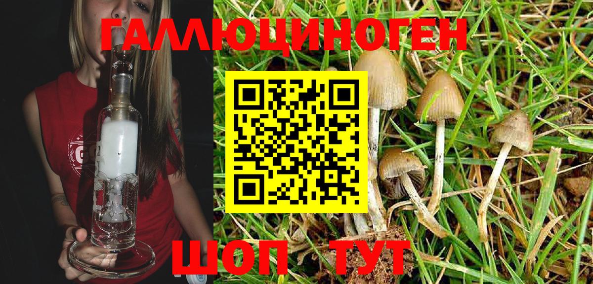 закладки  Вход с VPN  Дербент  Псилоцибиновые грибы Magic Shrooms 